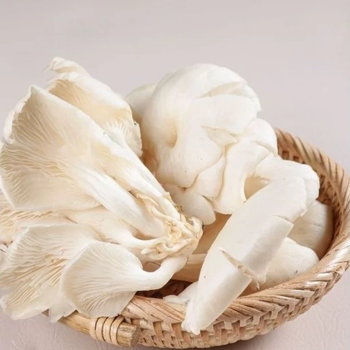 تصویر 1 از قارچ صدفی تولید گلخانه‌ ای درجه یک